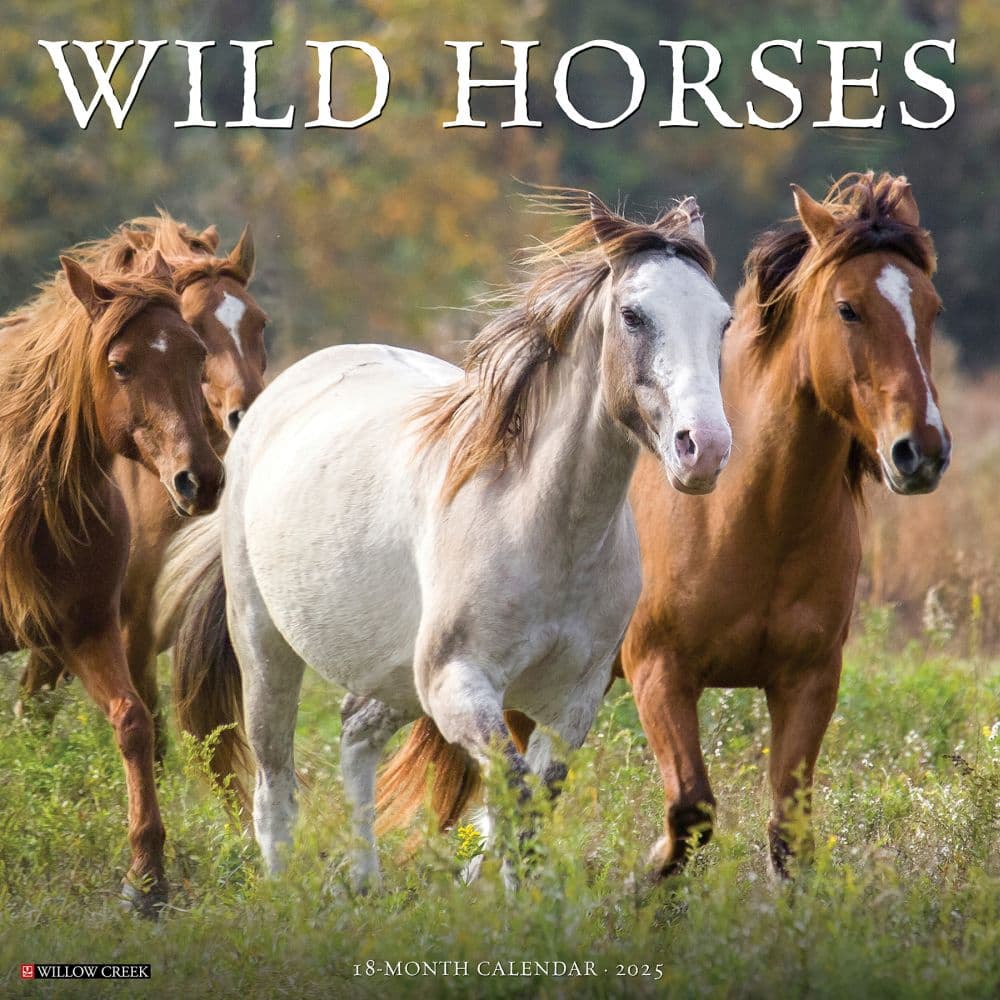 Wild Horses 2025 Wall Calendar  Main Image