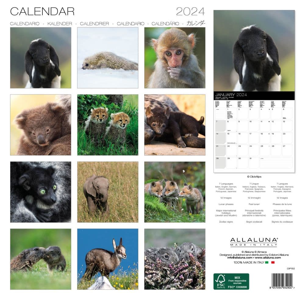 Baby Animals 2024 Wall Calendar