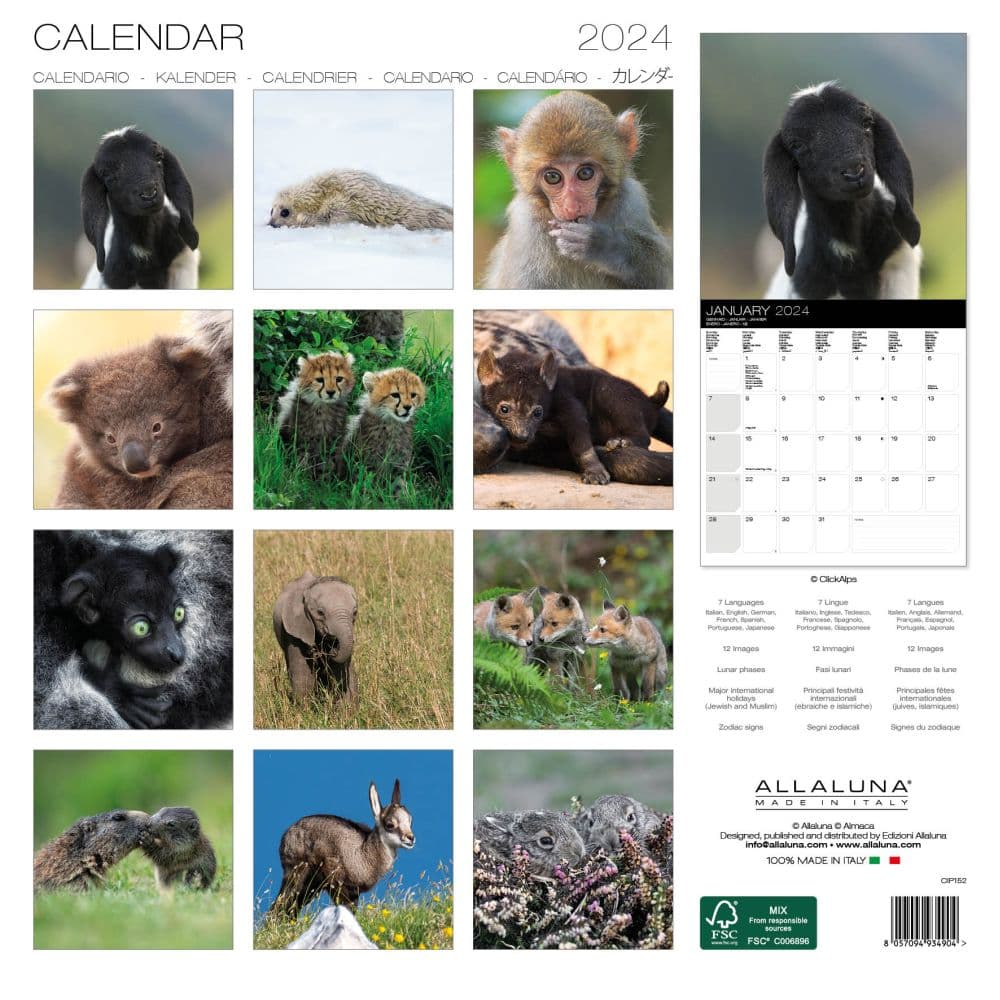 Baby Animals 2024 Wall Calendar Alt1