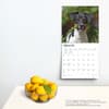 image Jack Russell Terriers 2024 Wall Calendar Third Alternate Image width=&quot;1000&quot; height=&quot;1000&quot;