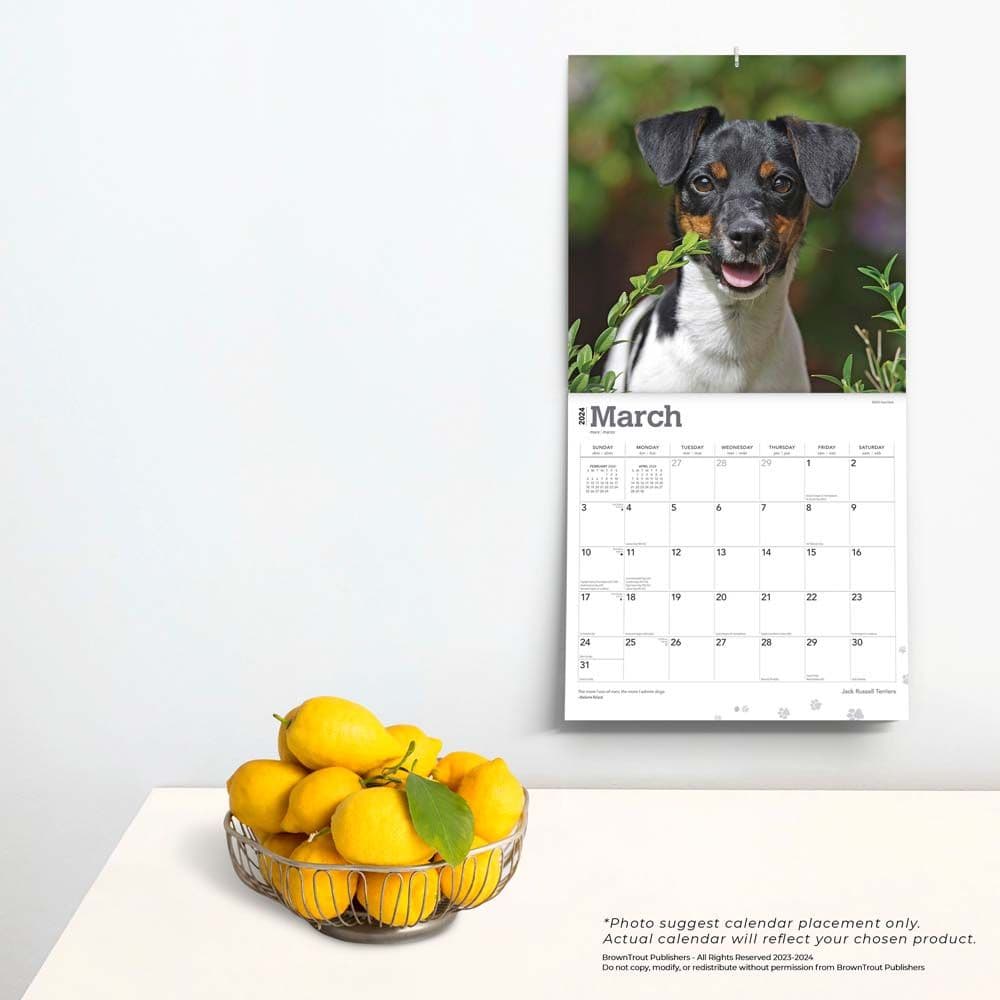 Jack Russell Terriers 2024 Wall Calendar Third Alternate Image width=&quot;1000&quot; height=&quot;1000&quot;