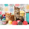 image Balls of Fluff 1000pc Puzzle Second Alternate Image