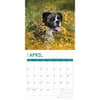 image Boxers 2025 Wall Calendar Second Alternate Image