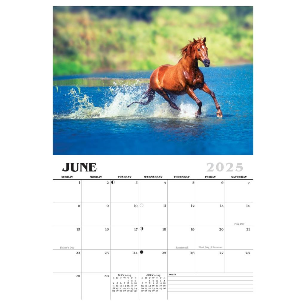 Horses 2025 Wall Calendar