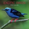 image Exotic Birds 2025 Wall Calendar Main Product Image width=&quot;1000&quot; height=&quot;1000&quot;