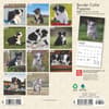 image Border Collie Puppies 2025 Mini Wall Calendar First Alternate Image width=&quot;1000&quot; height=&quot;1000&quot;