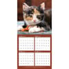 image Kittens Curious Photo 2024 Mini Wall Calendar Third Alternate Image width=&quot;1000&quot; height=&quot;1000&quot;