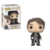 image POP! Vinyl Harry Potter Tom Riddle Main Image