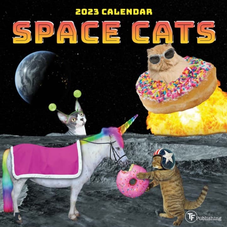 TF Publishing Space Cats 2023 Mini Wall Calendar