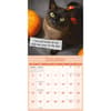 image Cat Shaming 2026 Wall Calendar Fourth Alternate Image