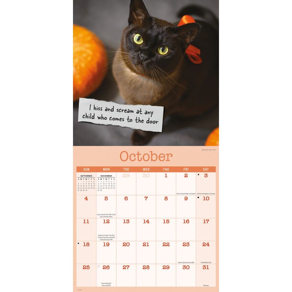 Cat Shaming 2026 Wall Calendar Fourth Alternate Image