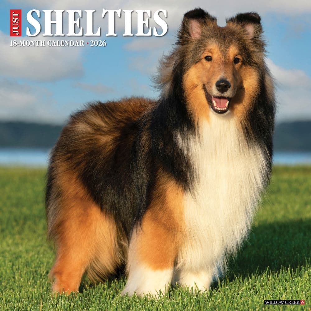 Just Shelties 2026 Wall Calendar Main Image