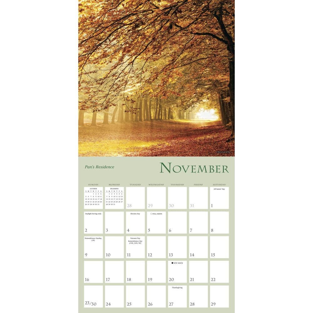 Enchanted Pathways Photography 2025 Wall Calendar