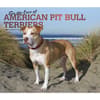 image Pit Bull Terriers Deluxe 2024 Wall Calendar Main Product Image width=&quot;1000&quot; height=&quot;1000&quot;