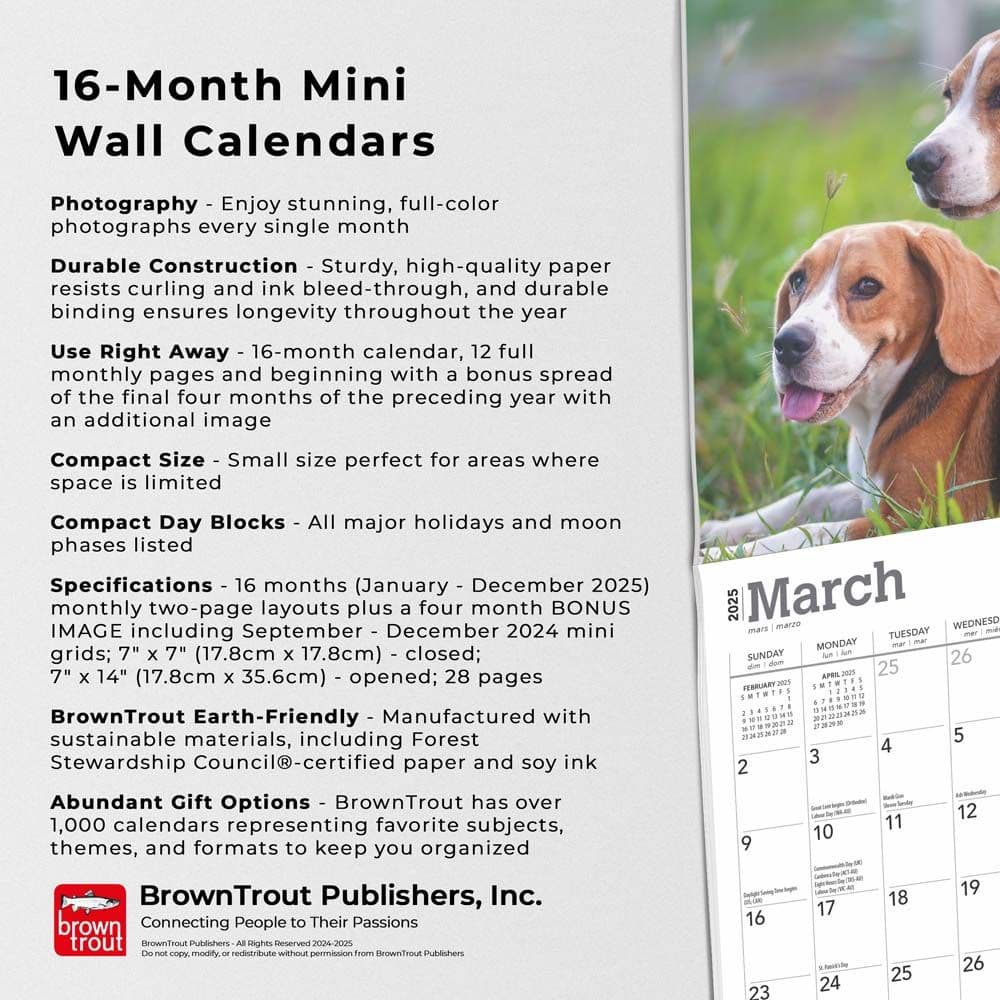 Beagle 2025 Mini Wall Calendar Fifth  Alternate Image width=&quot;1000&quot; height=&quot;1000&quot;