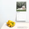 image Great Pyrenees 2025 Wall Calendar Fourth Alternate Image width=&quot;1000&quot; height=&quot;1000&quot;