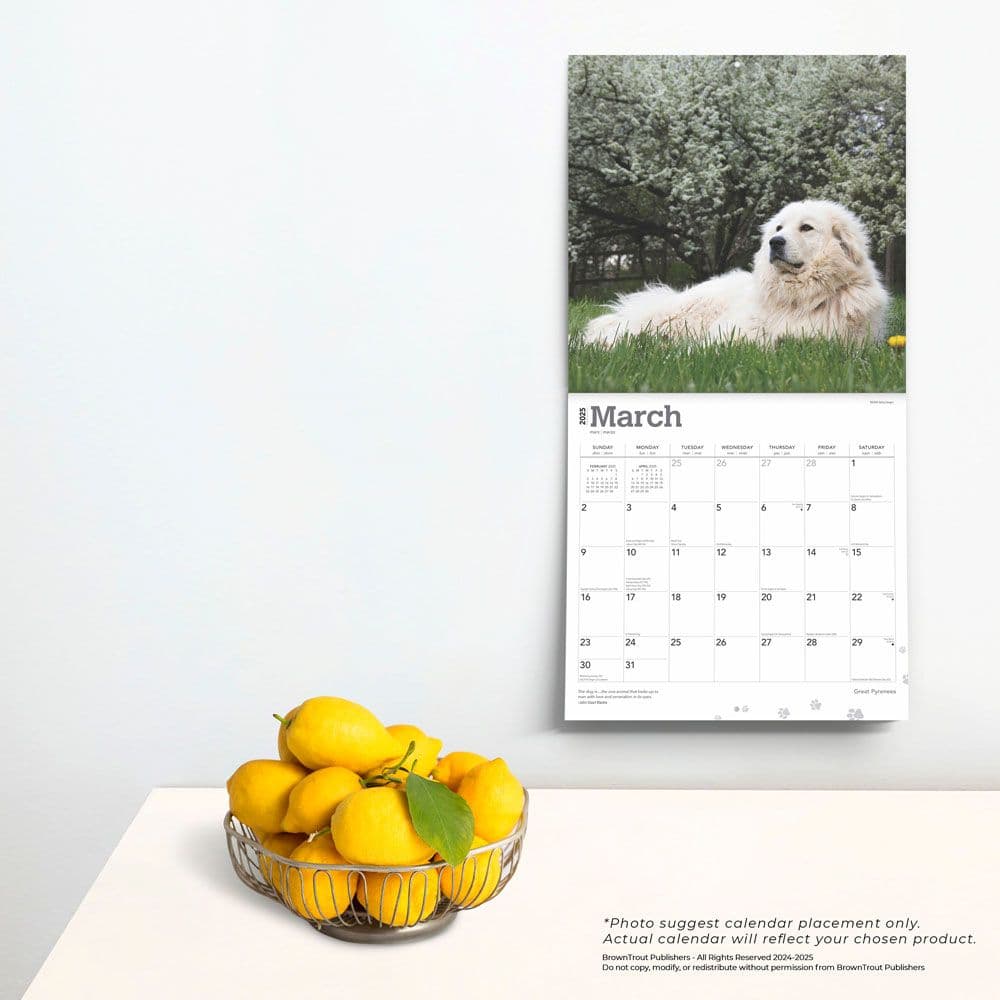 Great Pyrenees 2025 Wall Calendar Fourth Alternate Image width=&quot;1000&quot; height=&quot;1000&quot;