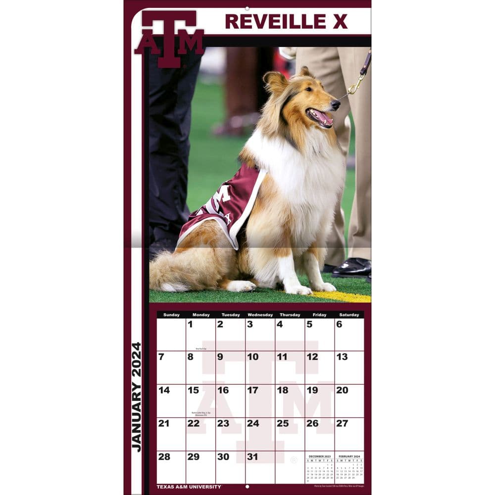 Texas A & M 2024 Wall Calendar - Calendars.com