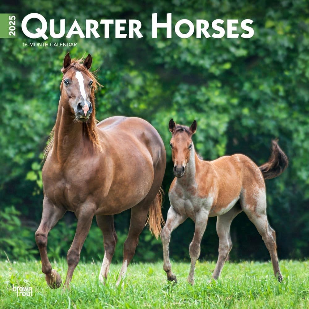 Quarter Horses 2025 Wall Calendar