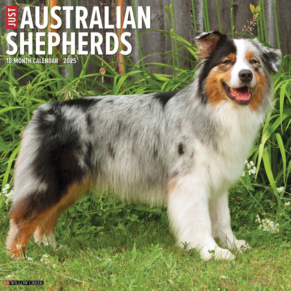 Just Australian Shepherds 2025 Wall Calendar Main Image