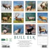 image Elk Bull 2026 Wall Calendar First Alternate Image