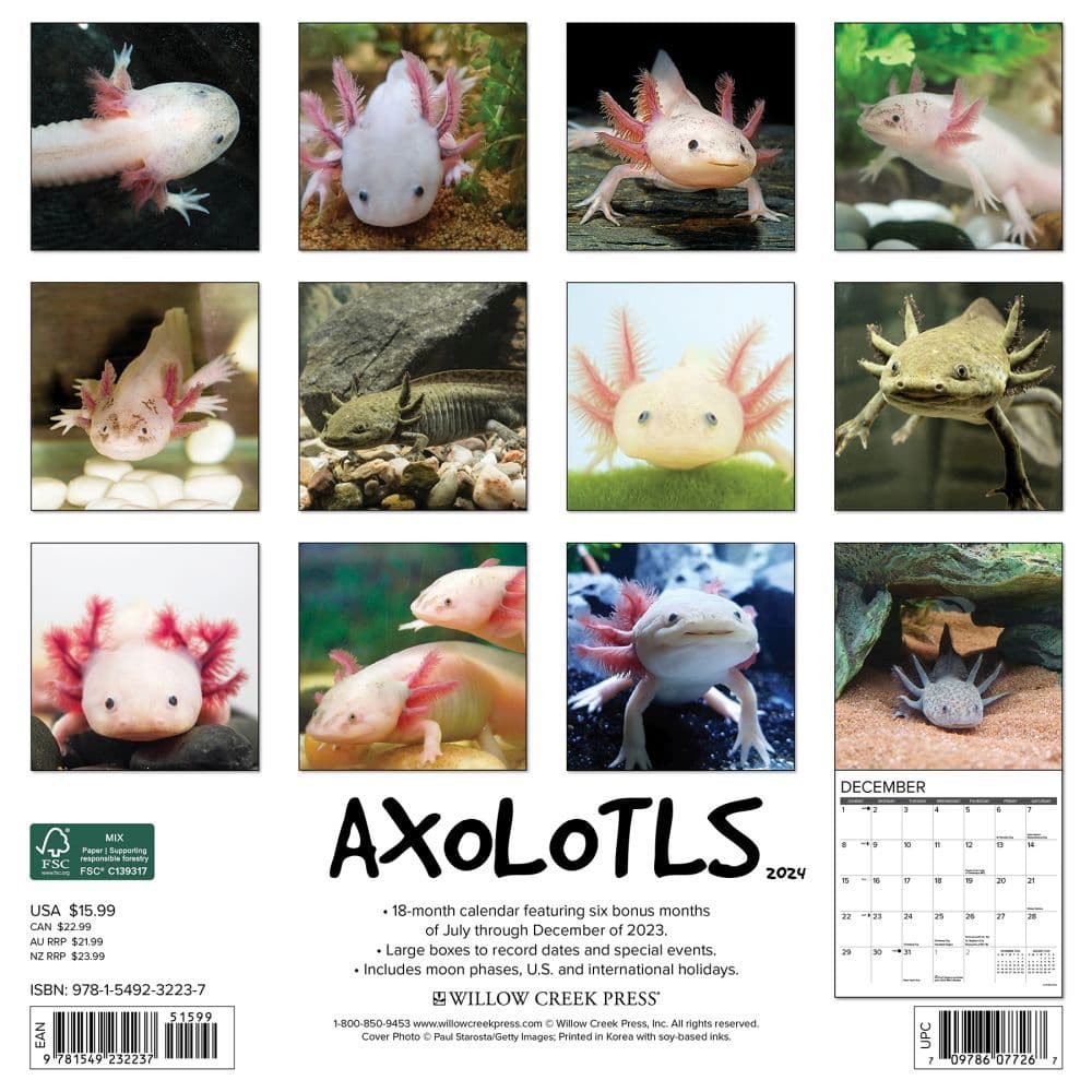 Axolotls 2024 Wall Calendar Calendars Com   Ad1fcc8e 2e90 4577 B30a Fcaa14567c47