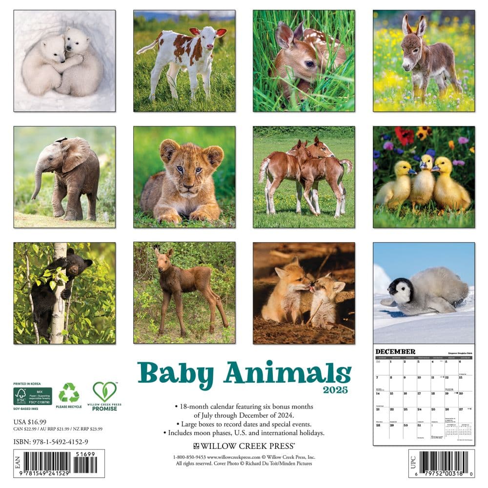 Baby Animals 2025 Wall Calendar First Alternate Image width=&quot;1000&quot; height=&quot;1000&quot;