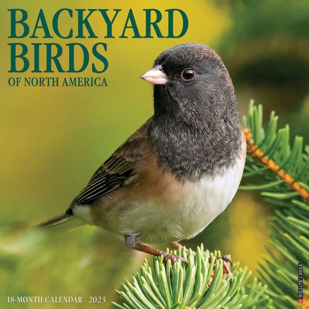 Willow Creek Press Birds Backyard 2023 Wall Calendar