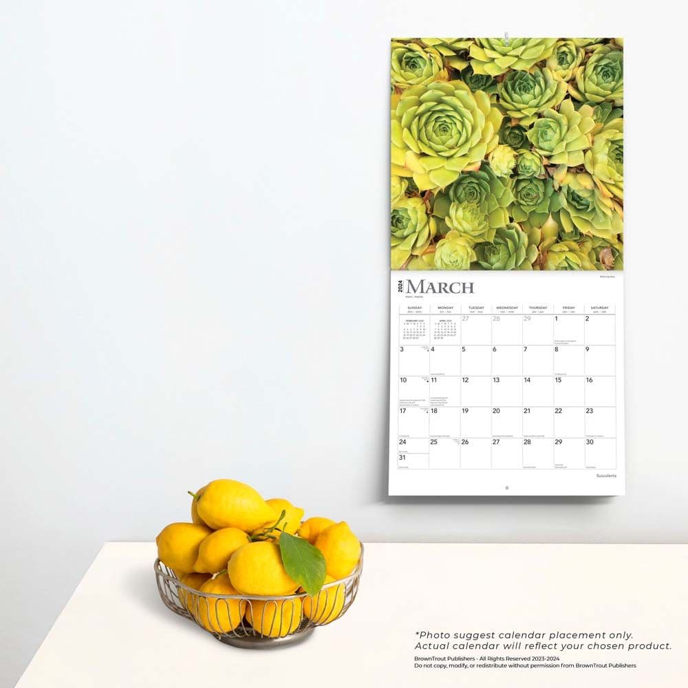 Succulents 2024 Wall Calendar Third Alternate Image width=&quot;1000&quot; height=&quot;1000&quot;