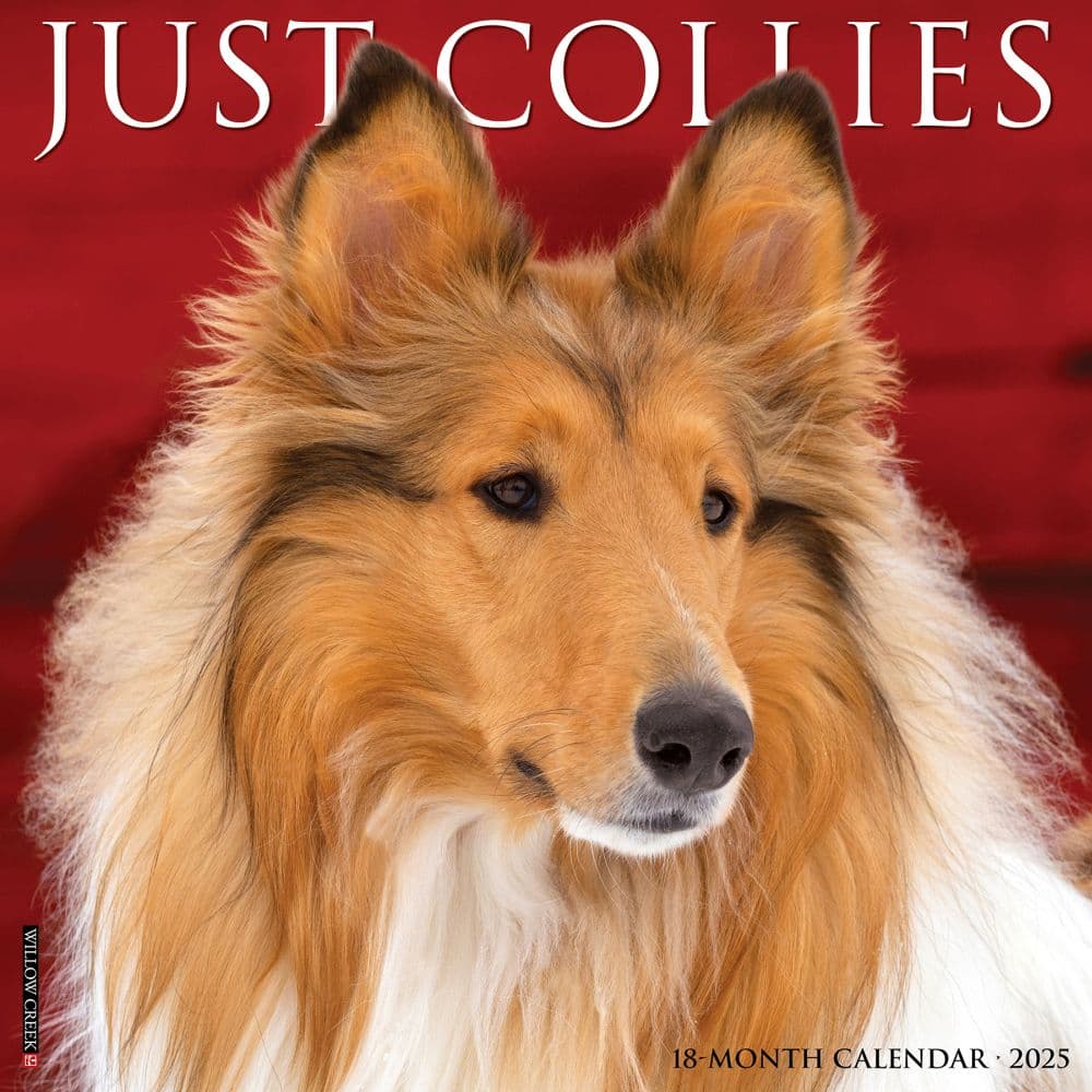 Collies 2025 Wall Calendar