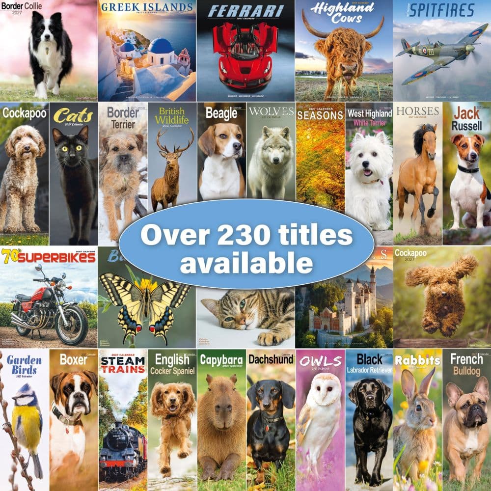 Bull Mastiff 2027 Wall Calendar Seventh Alternate Image