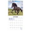 image Horses 2025 Wall Calendar