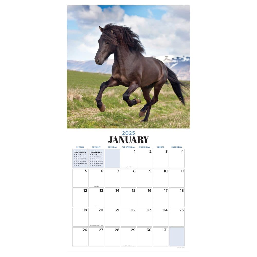 Horses 2025 Wall Calendar