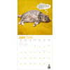 image Chonkers 2026 Wall Calendar Third Alternate Image