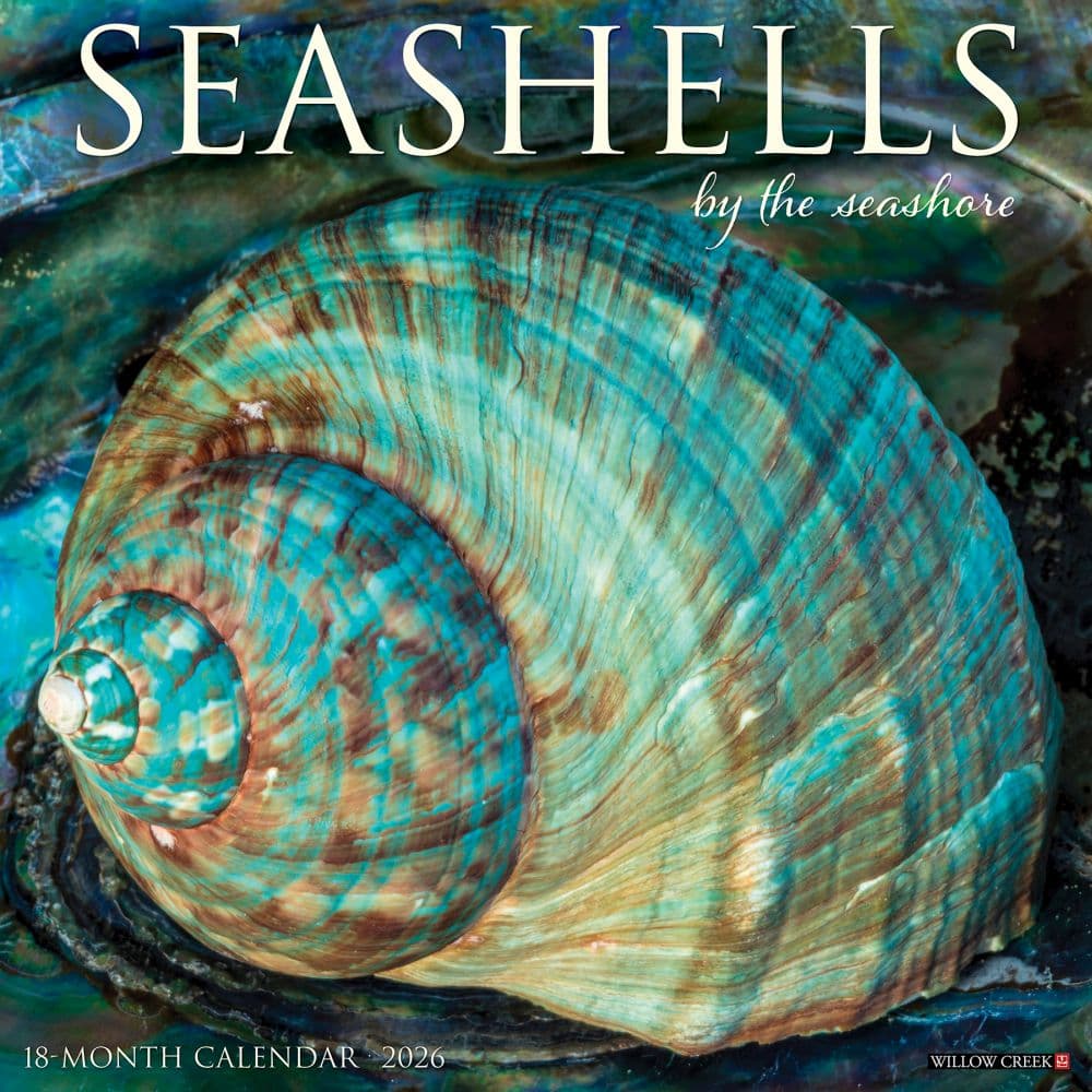 Seashells 2026 Wall Calendar Main Image