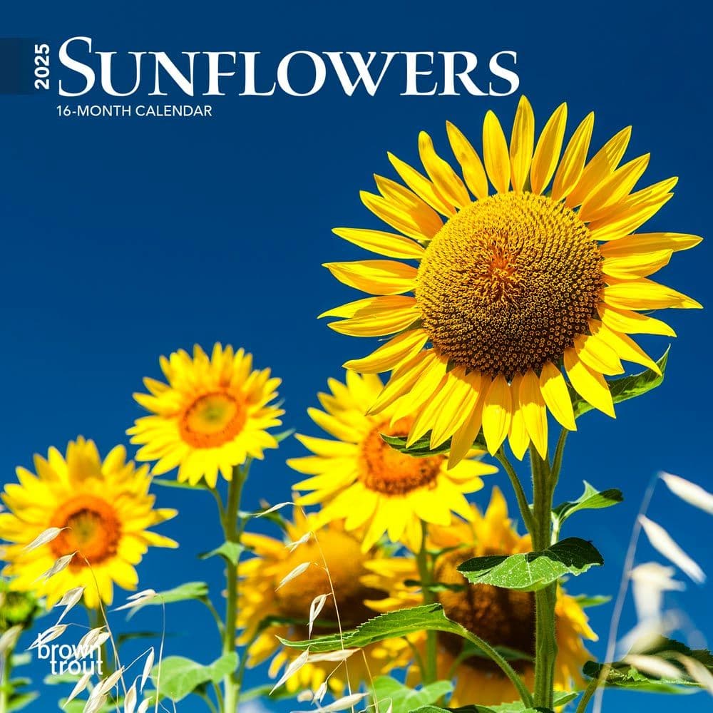 Sunflowers 2025 Mini Wall Calendar