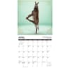 image Jackass Yoga 2025 Wall Calendar