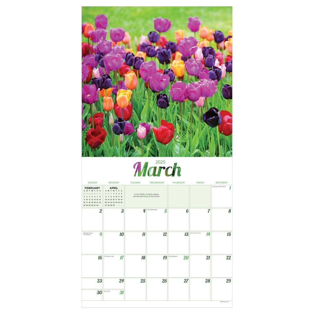 Flowers 2025 Wall Calendar Second Alternate Image