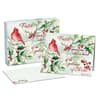 image Cardinal and Berries Boxed Christmas Cards by Susan Winget Main Product Image