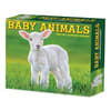 image Baby Animals 2026 Desk Calendar Main Product Image