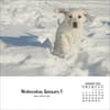 image Dogs And Puppies 2025 Desk Calendar First Alternate Image