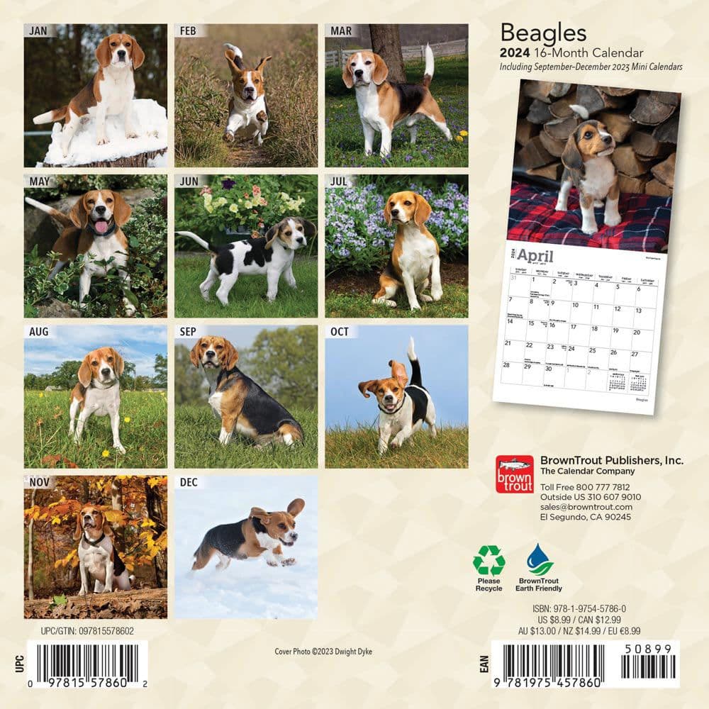 Beagle 2024 Mini Wall Calendar - Calendars.com