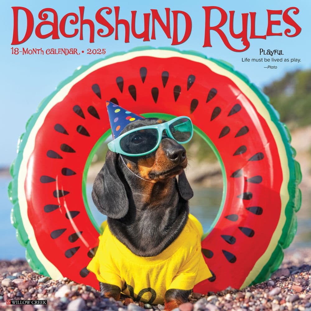 Dachshund Rules 2025 Wall Calendar