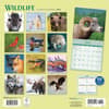 image Wildlife Special Value 2026 Wall Calendar First Alternate Image