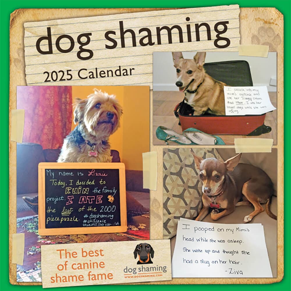 Dog Shaming 2025 Wall Calendar