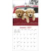 image Golden Retrievers Photo 2027 Wall Calendar Third Alternate Image