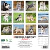 image Just Siberian Husky Puppies 2025 Wall Calendar First Alternate Image width=&quot;1000&quot; height=&quot;1000&quot;