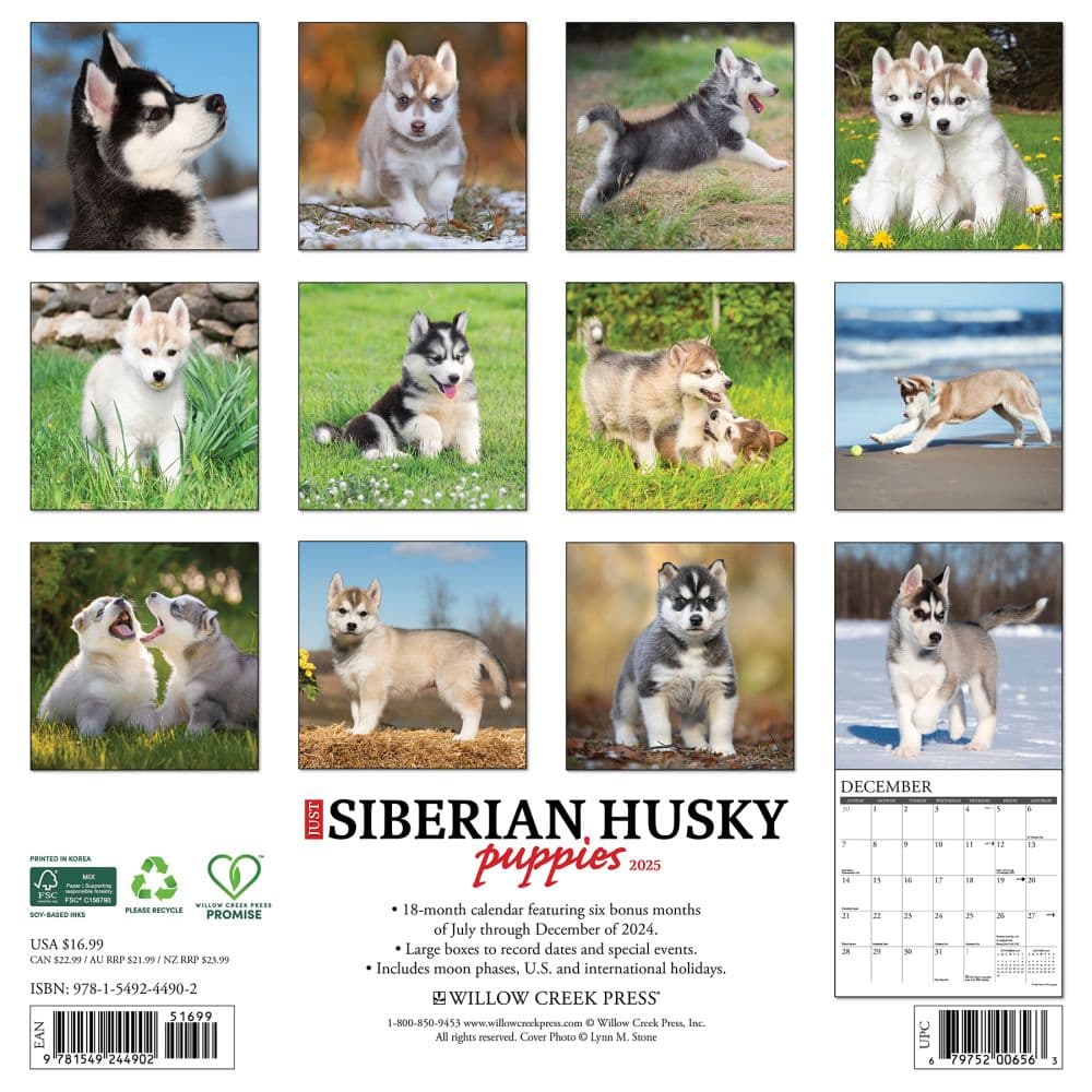 Just Siberian Husky Puppies 2025 Wall Calendar First Alternate Image width=&quot;1000&quot; height=&quot;1000&quot;