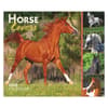 image Horse Lovers 2025 Desk Calendar Main Image