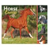image Horse Lovers 2025 Desk Calendar